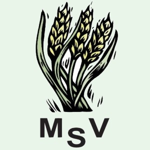 MSV-Logo
